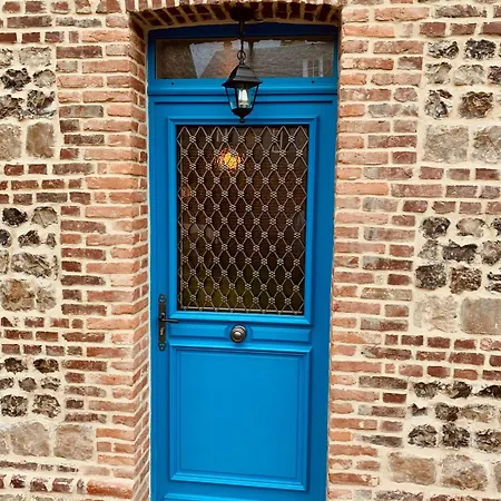 Les Fleurs Bleues A Les Roses